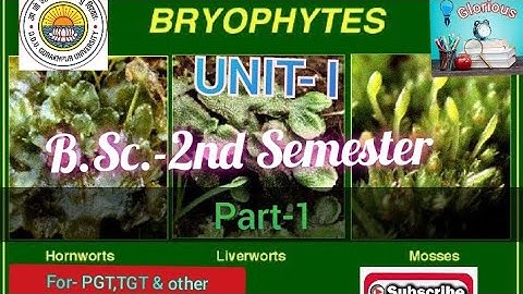 L-1 B.Sc.2nd semester,Unit-1 Archegoniate,unique features of Archegoniate,Introduction of Bryophyte