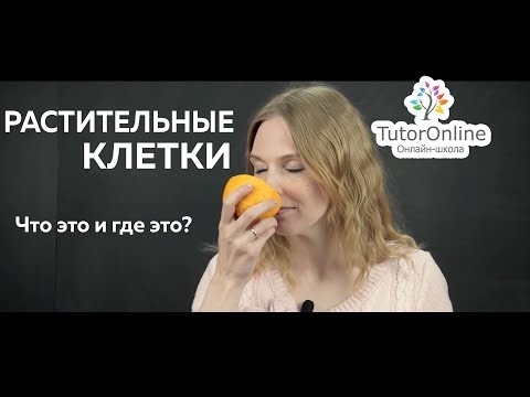 Ботаника | Растительная клетка. Задачи по биологии