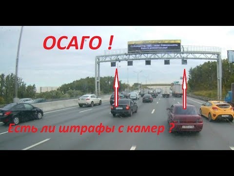 Камеры Отсутствие Осаго 2023