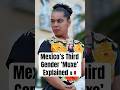 Mexico S Third Gender Muxe Explained Shorts Mexico Thirdgender Mexico S Third Gender Muxe Explained Shorts Mexico Thirdgender