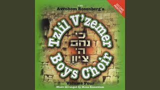 Video thumbnail of "Tzlil V'zemer Boys Choir - Horachamon"