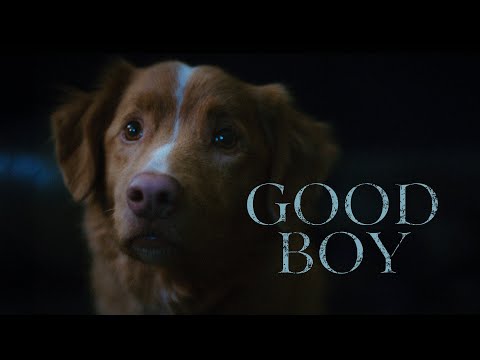 Good Boy (ESTRENO EN CINES 17/10) - Tráiler (VOSE) | Filmin