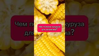 Чем полезна кукуруза для организма?