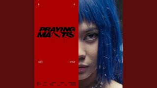 Praying Mantis - Reble
