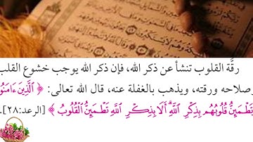 القارئ الشيخ وديع اليمني ألا بذكر الله تطمئن القلوب #قران_كريم #قرآن #حالات