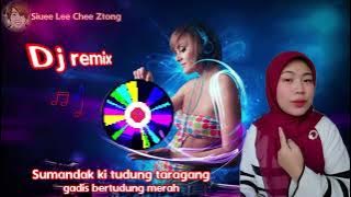 Dj remix music mood healing Kitaro style 2025 🎧