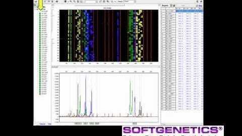GeneMarker® Software - Micro Satellite Part 1