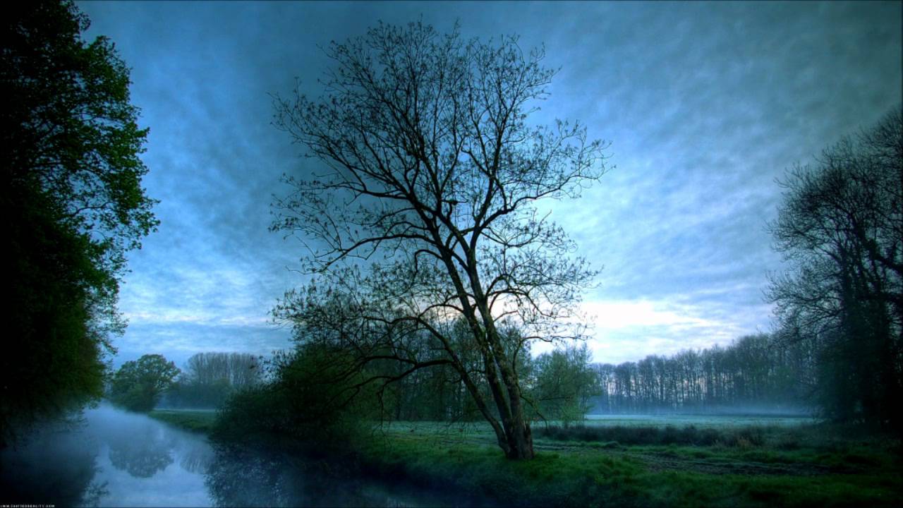 Смотреть «Misja Helsoot - Blue Monkey (Pierre Hiver Remix)» на YouTube Смотреть «Misja Helsoot - Blue Monkey (Pierre Hiver Remix)» на YouTube