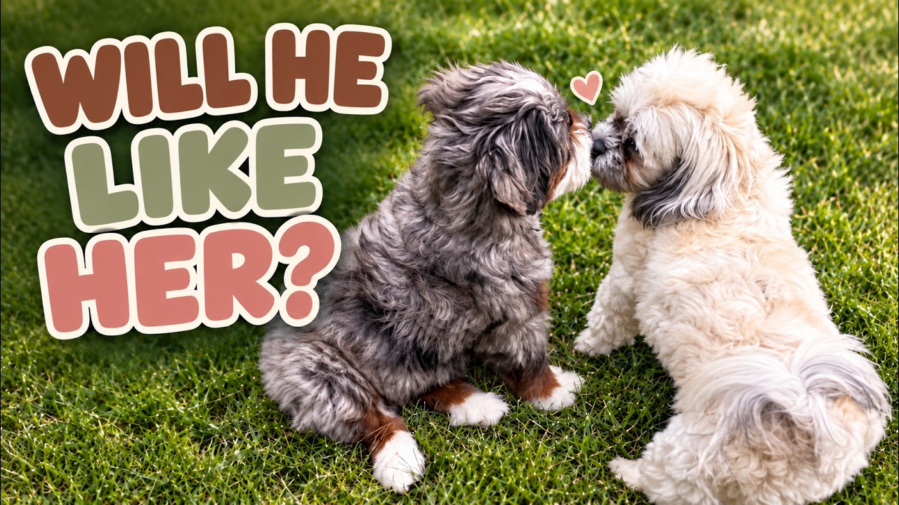 Cora Meets Finn video thumbnail