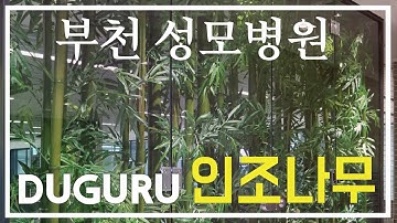 부천 성모병원 [DUGURU 두구루] - 인조대나무/인조나무/artificial tree/bamboo