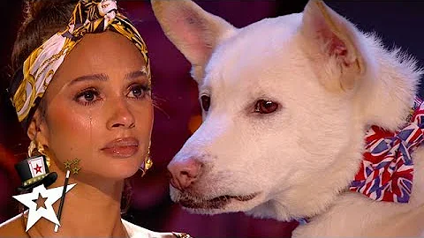 Judges Cry Over Emotional Dog Magic Act on Britain's Got Talent 2020 | Magician's Got Talent - DayDayNews