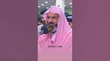 إن شجرة الزقوم طعام الأثيم تلاوة مؤثرة جدا للقارئ عمر عبدالله 