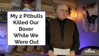 My 2 Pitbulls Killed Our Boxer While We Were Out