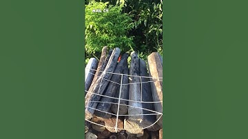 Diều 96cm mẹ bồng con | MAIL CV