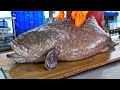 Monster！Giant Grouper Cutting Skills, Giant Grouper Steak/怪物級美味！巨大龍膽石斑切割技能, 石斑肉排-Taiwanese Food