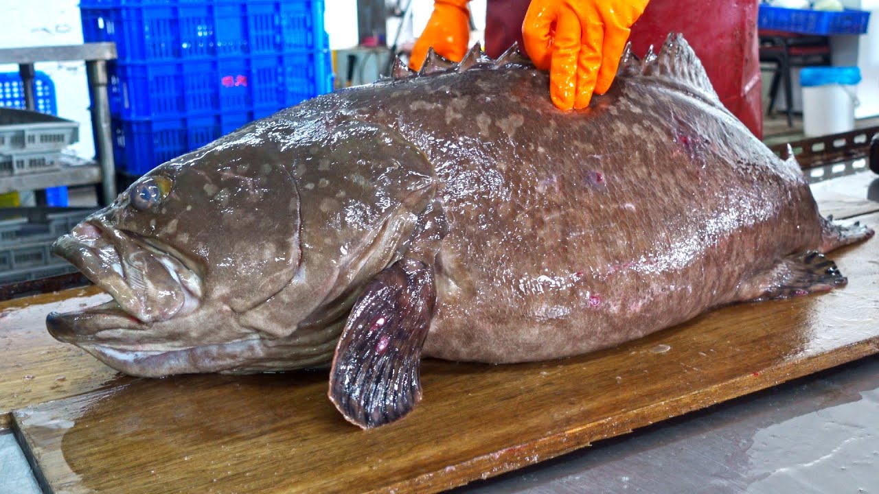 Monster！Giant Grouper Cutting Skills, Giant Grouper Steak/怪物級美味！巨大龍膽石斑切割技能, 石斑肉排-Taiwanese Food