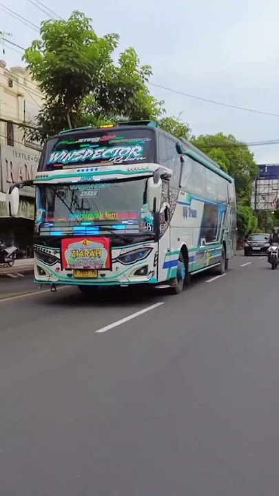 INI DIA NADA VIRAL WINSPECTOR
