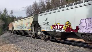 EB empty grain near Rocky Point