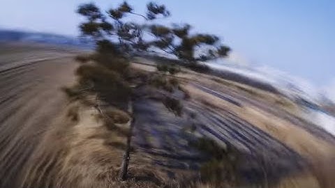 FPV Freestyle Practice | Nazgul5 4S | Yi Action Camera