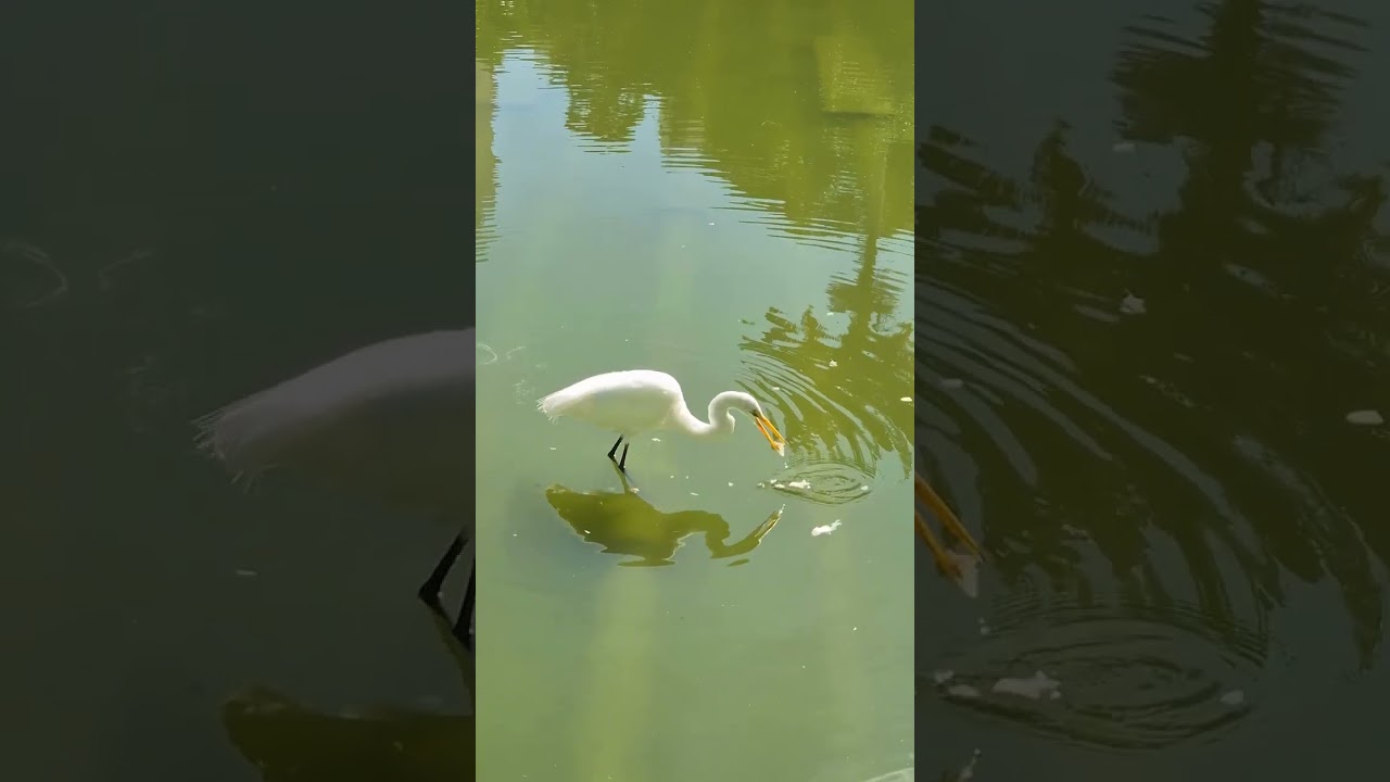 Campo de São Bento Niterói