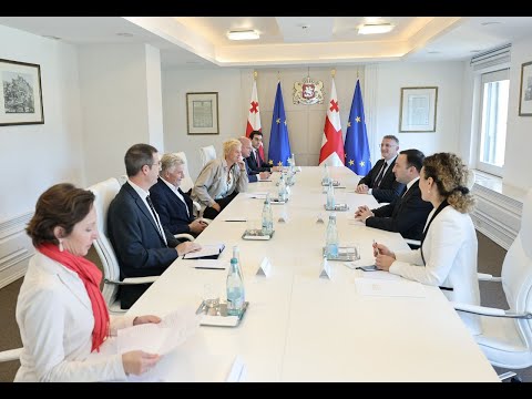 პრემიერ-მინისტრი ავსტრიის საპარლამენტო დელეგაციას შეხვდა