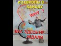 УЖАС ! В КАНАДЕ ВЫГОНЯЮТ УКРАИНСКИХ БЕЖЕНЦЕВ НА УЛИЦУ. ПОЧЕМУ БЕЖЕНЦЫ ЕДУТ В КАНАДУ. КОМУ ВЫГОДНО.