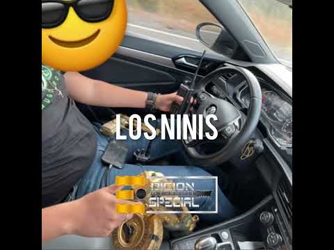Los Ninis - Edicion Especial