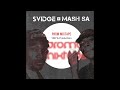 Deejay Svidge & Mash SA - 100% Production Promo Mixtape