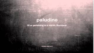 What does paludine mean