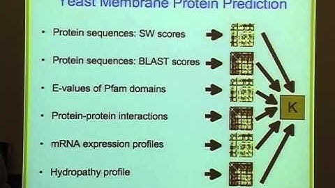 Sparse and large-scale learning with heterogeneous data