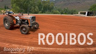 Boegoeberg  Ep1  Rooibos Tea Farming and Main Campsite