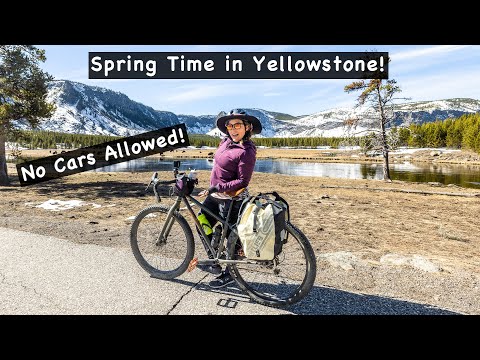 Biking in Yellowstone Before Cars Are Allowed! Yellowstone National Park