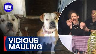 Dog owner arrested after mauling leaves runner in hospital | 9 News Australia