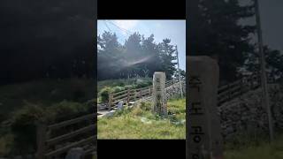 송정해수욕장 영상