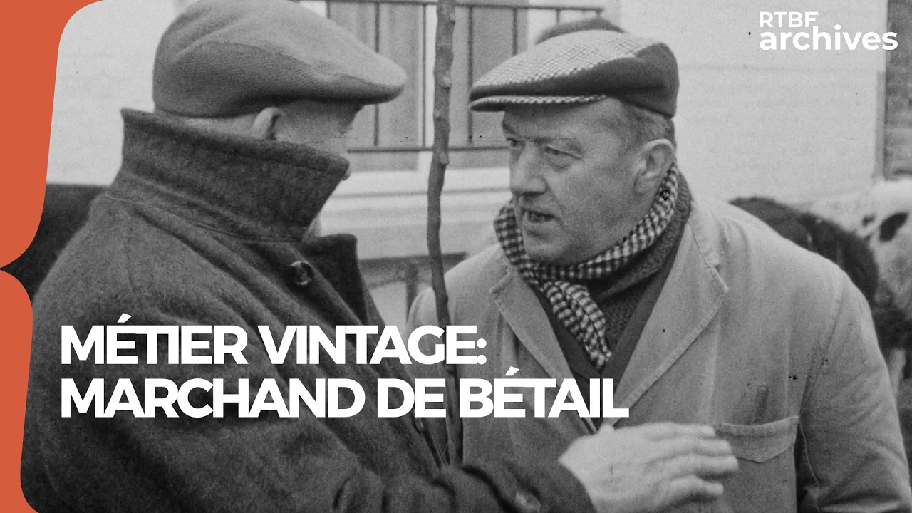 Métier vintage : marchand de bétail en 1964 - RTBF Archives