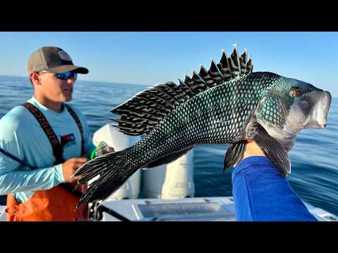 $$Commercial$$ Fishing Massachusetts For My Restaurant in Brooklyn
