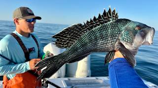 $$Commercial$$ Fishing Massachusetts For My Restaurant in Brooklyn