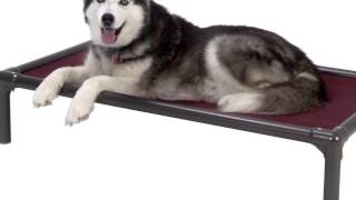 Kuranda Walnut PVC Chewproof Dog Bed Review