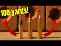 22LR Vs 17 HMR Vs 22 MAG Never Would Ve Guessed 22LR Vs 17 HMR Vs 22 MAG Never Would Ve Guessed