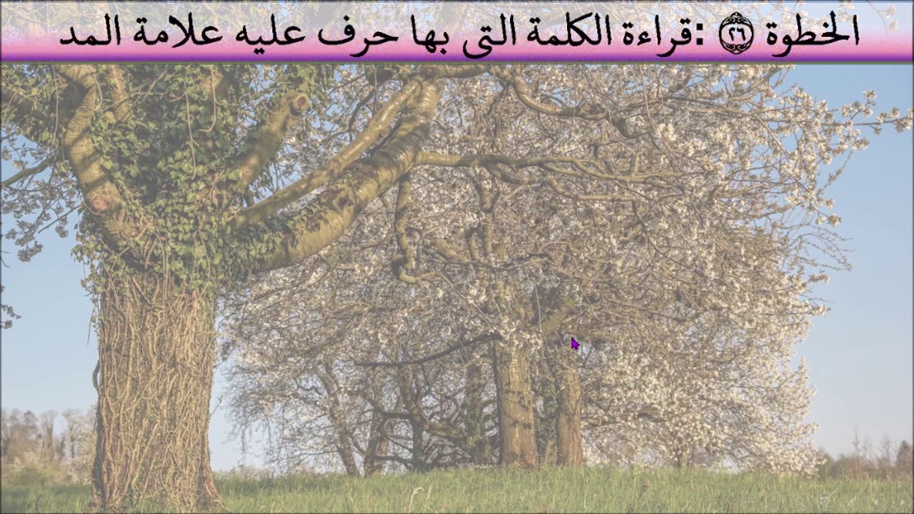 الخطوة 26 نحو كيف تقرأ القرآن قراءة الكلمة التي بها حرف عليه علامة المد