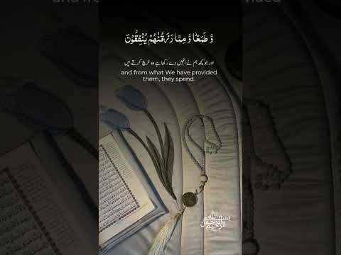 القرآن هو سكينة القلوب Quotes Quran تدبر القرآن القرآن الكريم القرآن صلو على نبيناوحبيبنامحمد