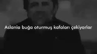 Eşkiya Dünyaya Hükümdar Olmaz- Aslanla Buğa