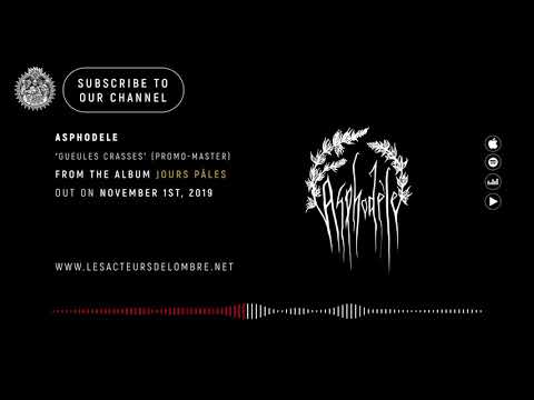 Asphodèle - Gueules