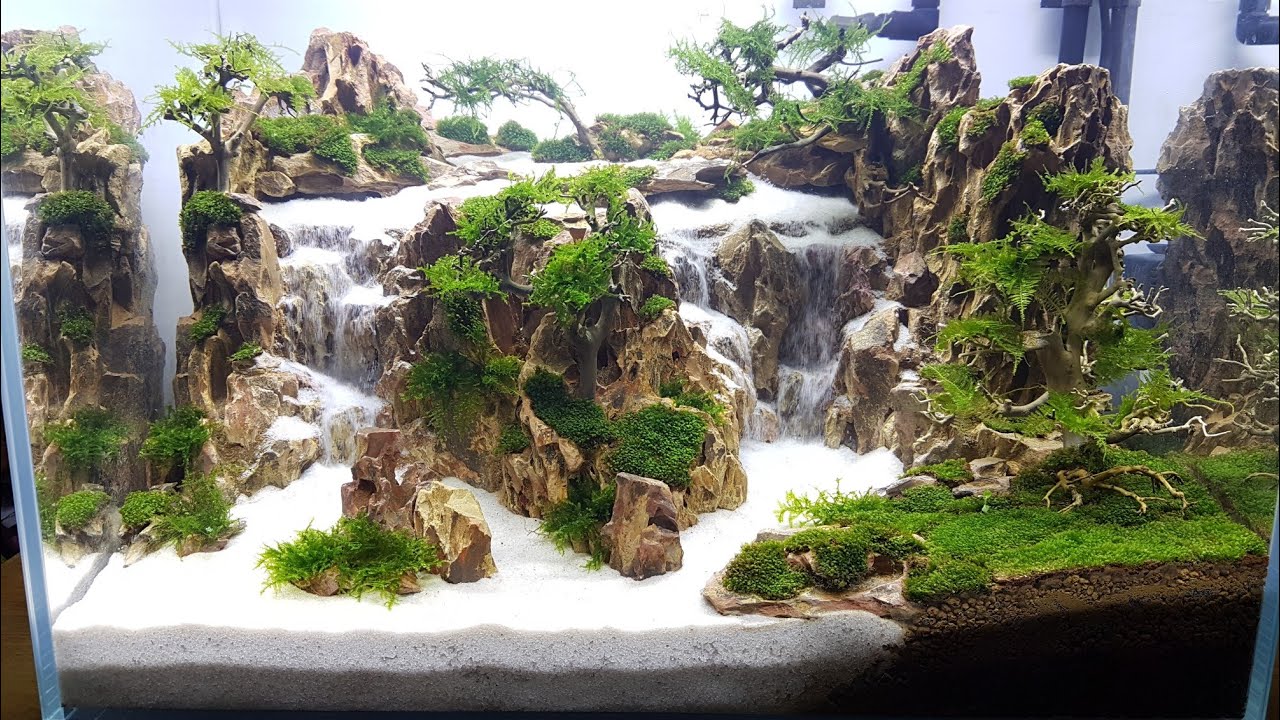 Hồ thủy sinh thác cát đá tiger 60x40x40 siêu thực mới hoàn thiện.Underwater waterfall tank new setup