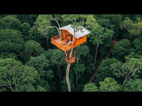 Crossing the Forest Canopy – No Safety Ropes, Only Survival and Daring Adventure