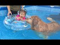 お互いを喜ばせることが上手なゴールデンレトリバーと2歳児