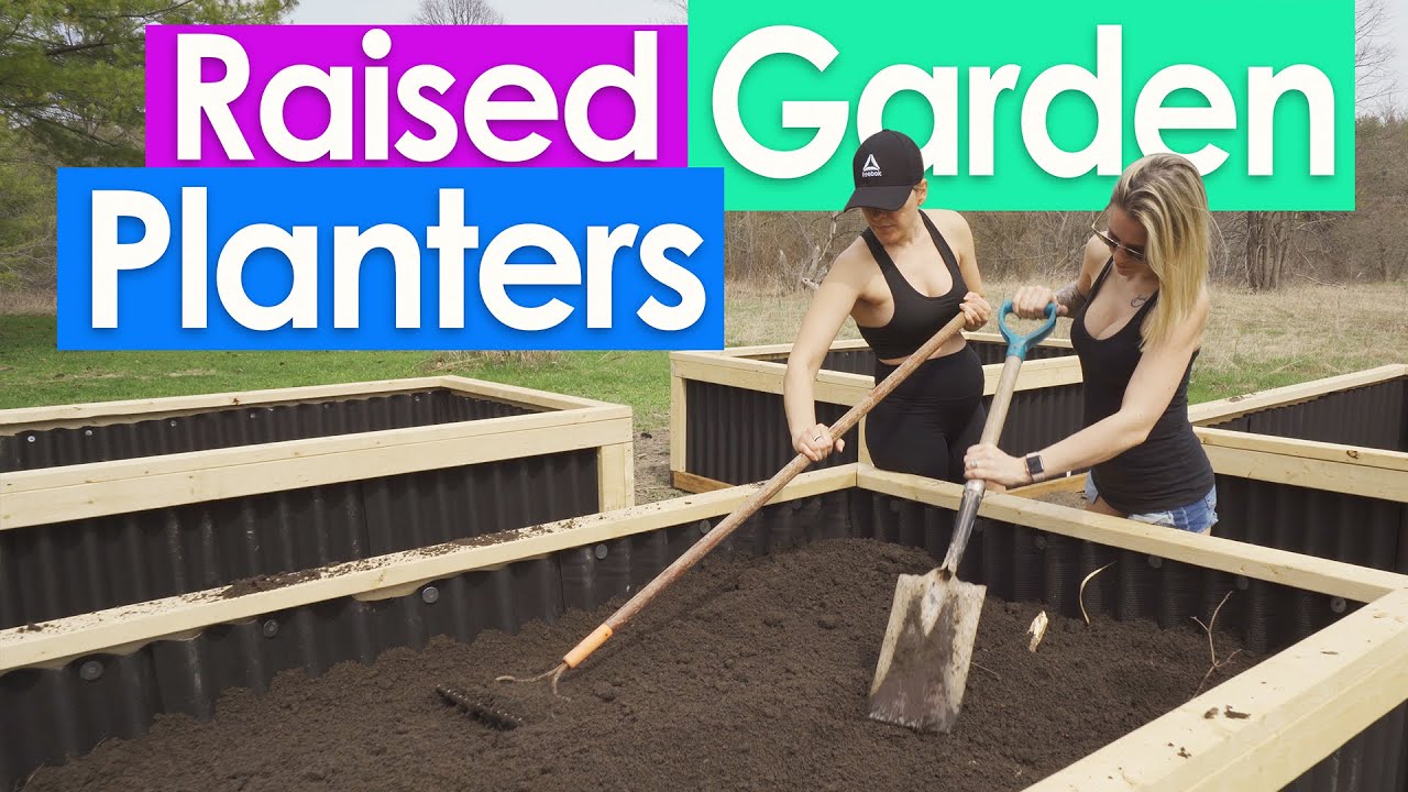How to Build Cheap and Easy Raised Garden Planting Beds - YouTube