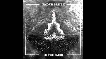 Nader Sadek -Sulffer