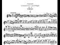 Miniature de la vidéo de la chanson Violin Concerto No. 1 In D Major, Op. 19: I. Andantino: Andante Assai