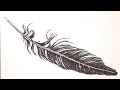 How to draw a feather 🎨Still Life